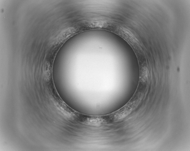 X0000088040414200705111236