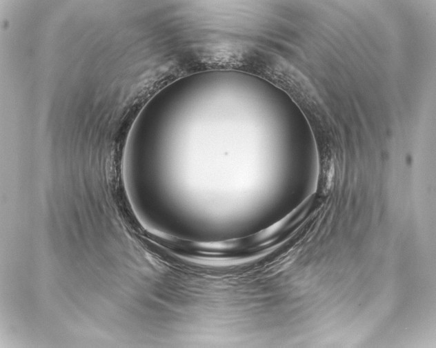 X0000088040416200705111236