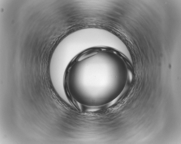 X0000088040417200705111236