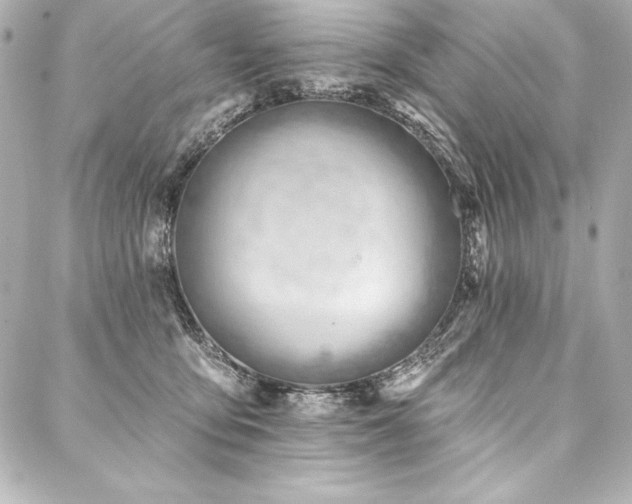 X0000088040419200705111236