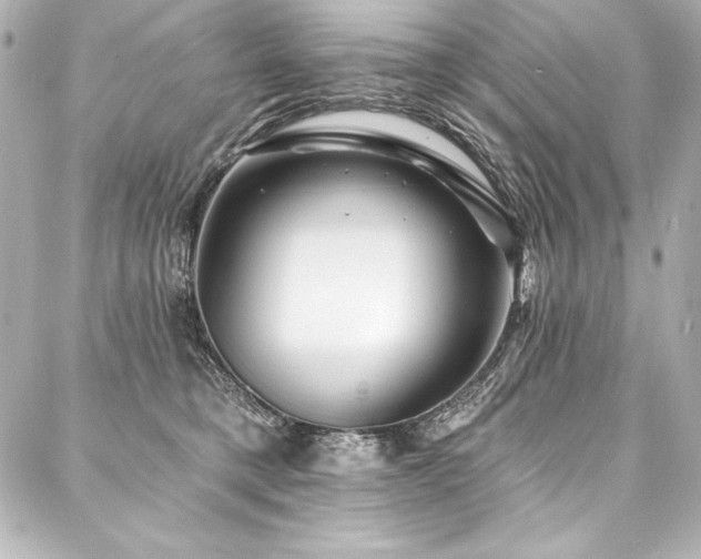 X0000088040421200705111236