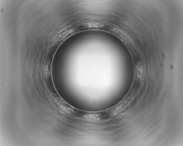 X0000088040422200705111236