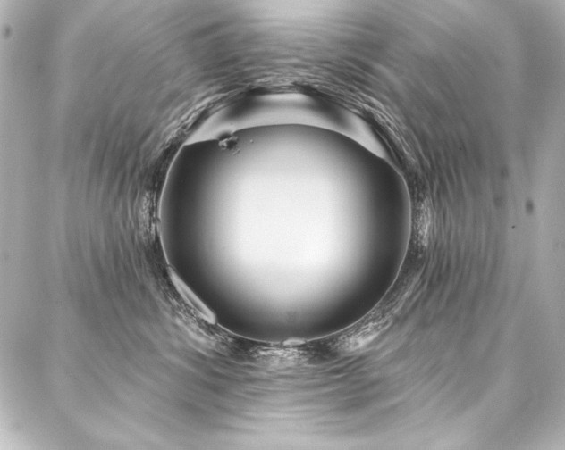 X0000088040428200705111235