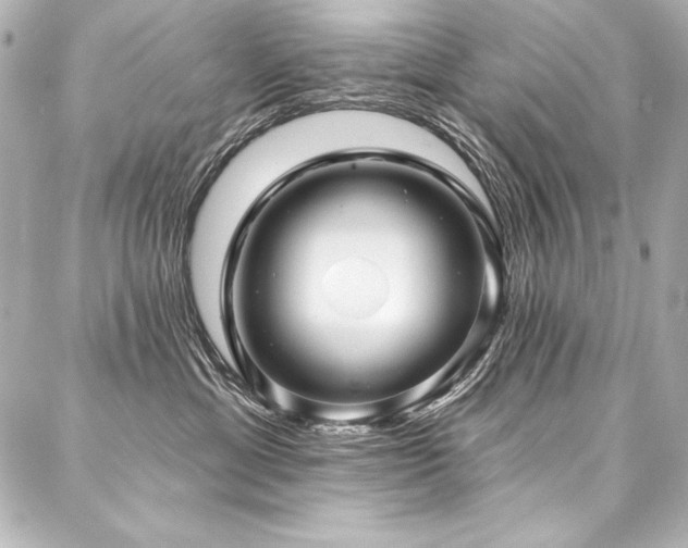 X0000088040429200705111235