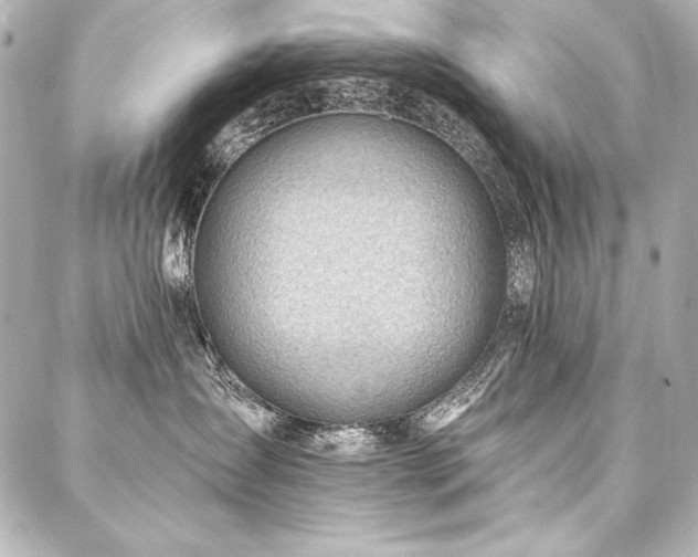 X0000088040431200705111235