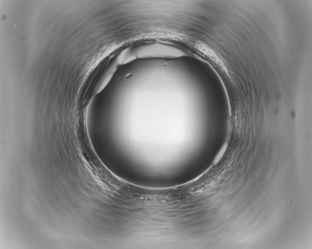 X0000088040436200705111235