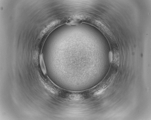X0000088040444200705111235