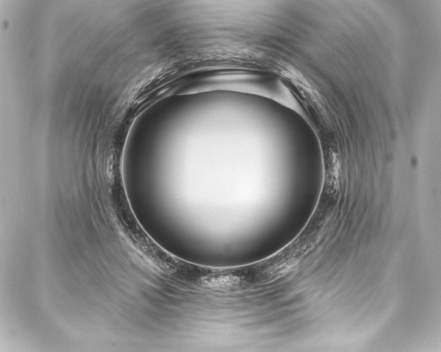 X0000088040452200705111235