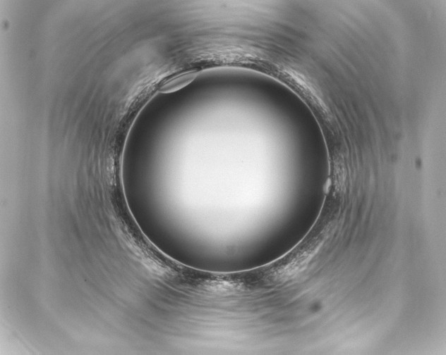 X0000088040453200705111235