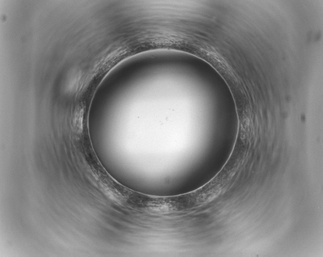 X0000088040454200705111235