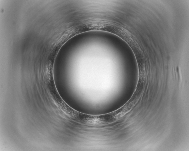 X0000088040460200705111235