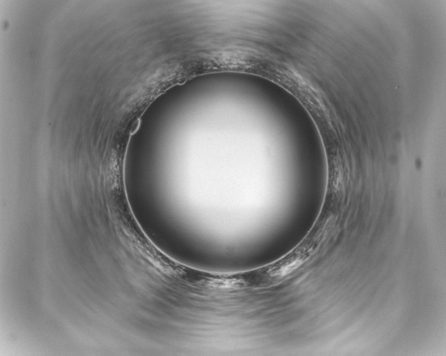 X0000088040465200705111235