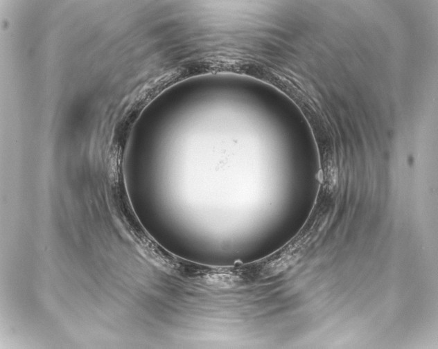 X0000088040468200705111235