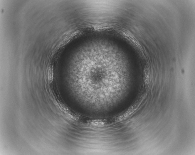 X0000088040471200705111235