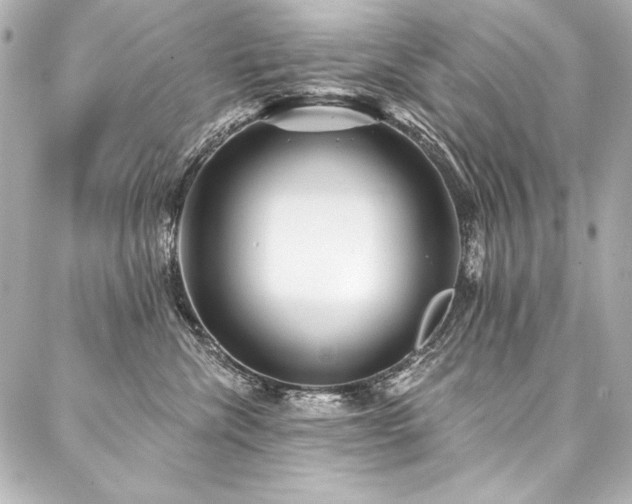 X0000088040476200705111235