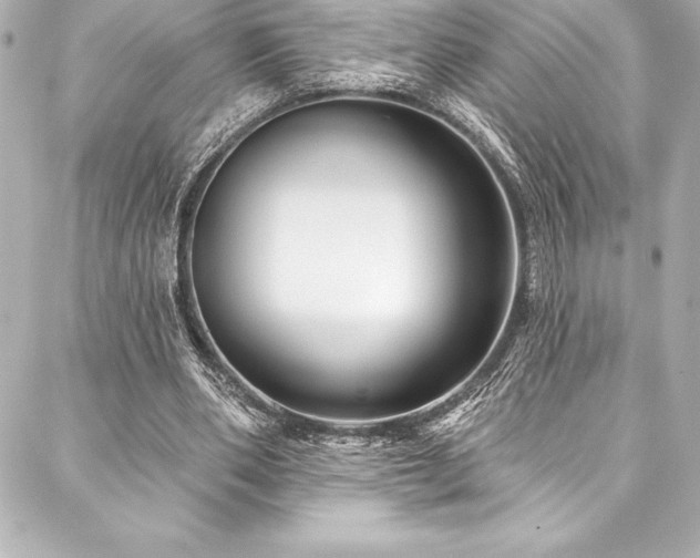 X0000088040486200705111234