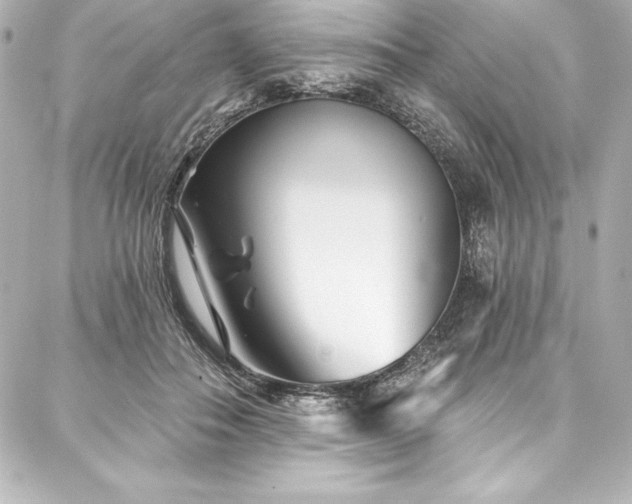 X0000088040506200705111234