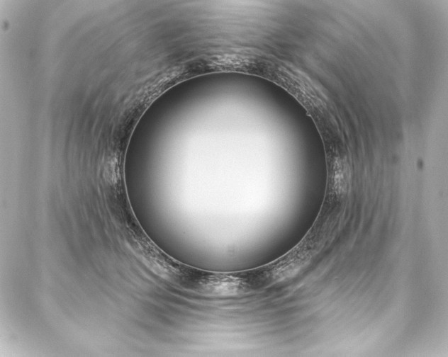 X0000088040514200705111234