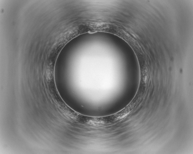 X0000088040515200705111234