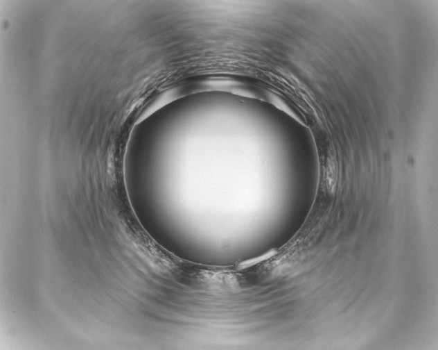 X0000088040520200705111234