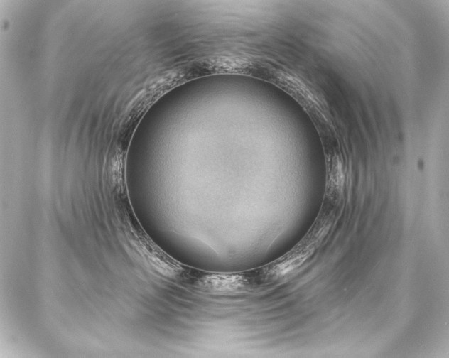 X0000088040526200705111234
