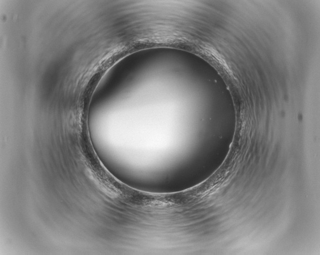 X0000088040542200705111233