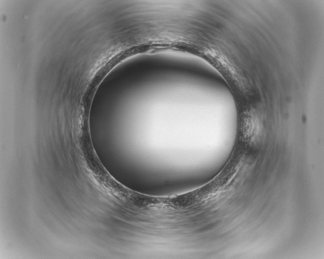 X0000088040544200705111233