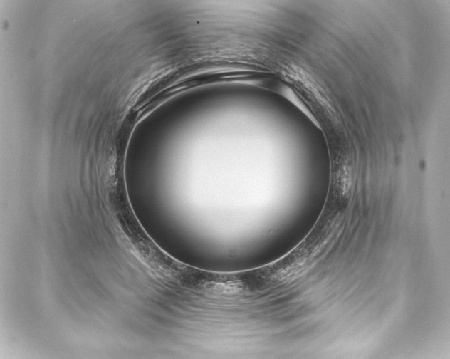 X0000088040548200705111233