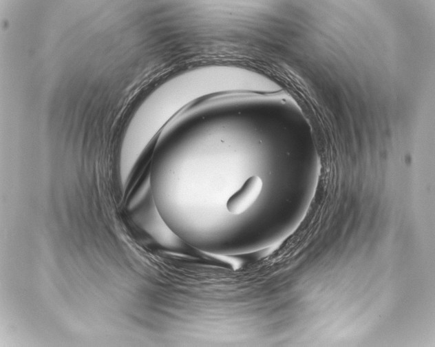 X0000088040552200705111233