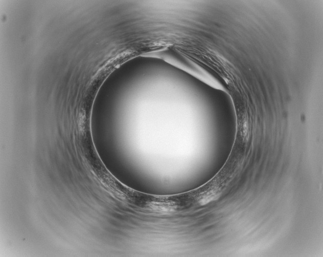 X0000088040556200705111233