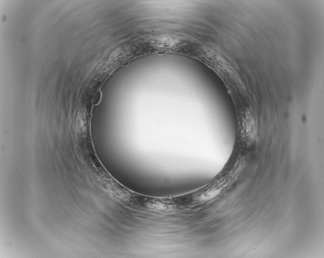 X0000088040561200705111234