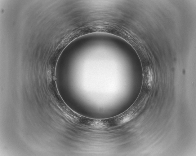 X0000088040562200705111234