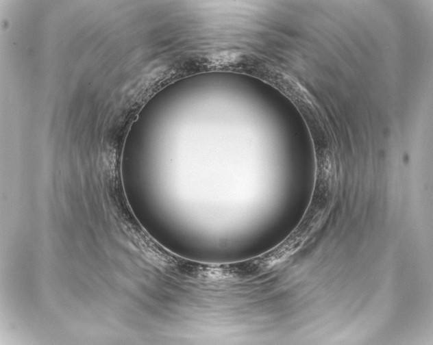 X0000088040565200705111234