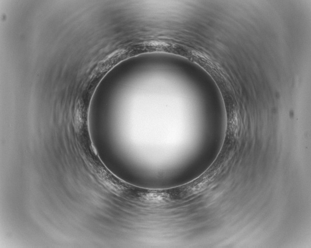 X0000088040566200705111234