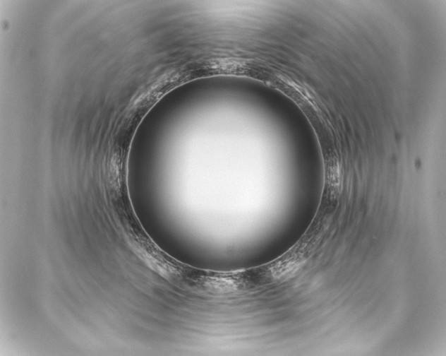 X0000088040572200705111234