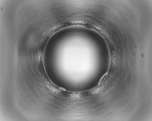X0000088040574200705111234