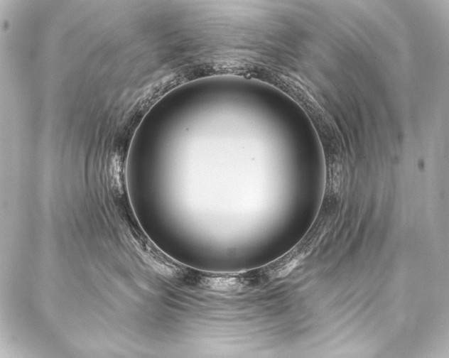 X0000088040575200705111234