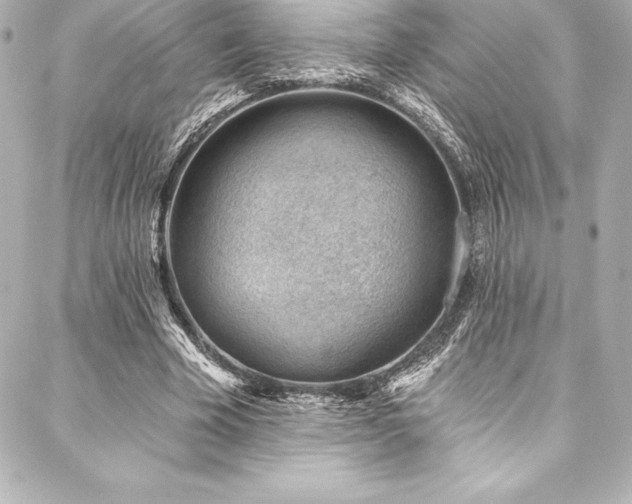 X0000088040585200705111233