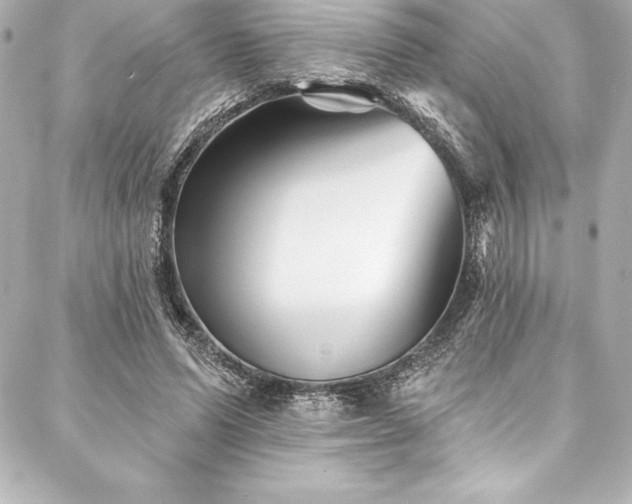 X0000088040591200705111233