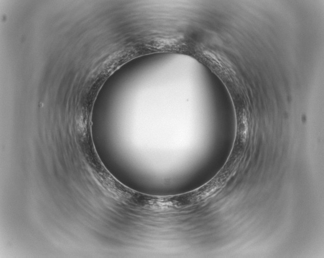 X0000088040607200705111233