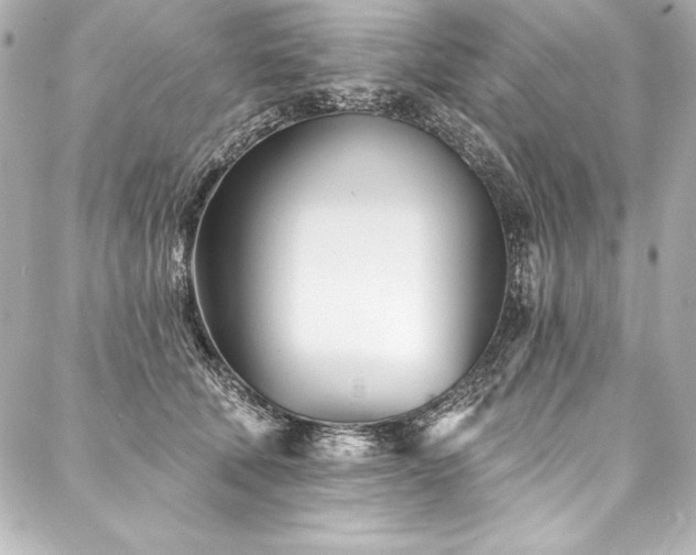 X0000088040610200705111232