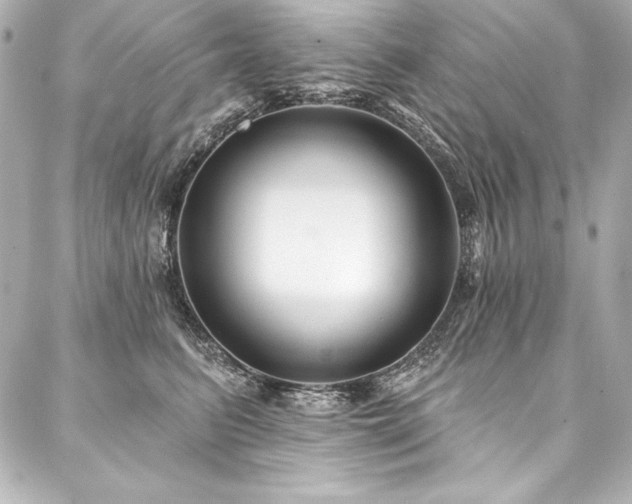 X0000088040615200705111232