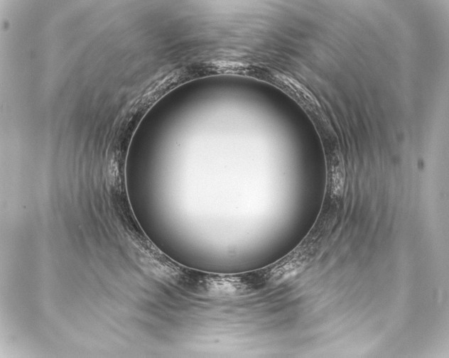 X0000088040618200705111232