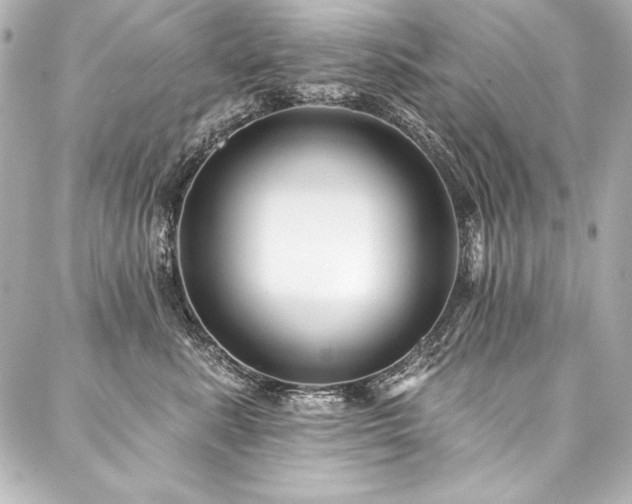 X0000088040619200705111232