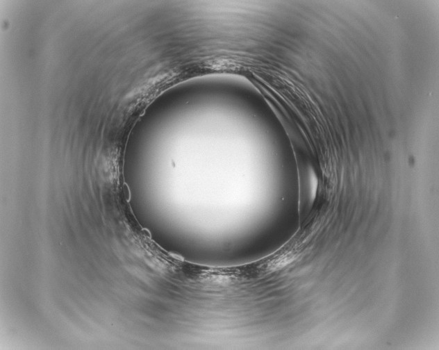 X0000088040620200705111232