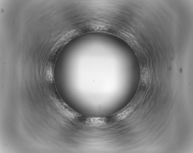 X0000088040622200705111232