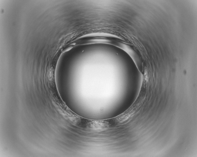 X0000088040623200705111232