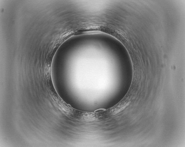 X0000088040624200705111232