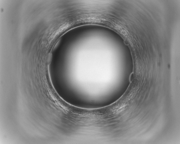 X0000088040625200705111231