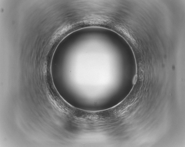 X0000088040631200705111232